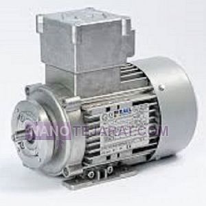 RAEL Explosion Proof Electric Motor RAEL Explosion Proof Electric Motor